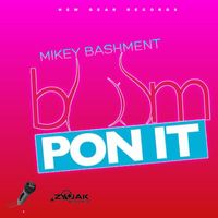 Mikey Bashment - Boom Pon It