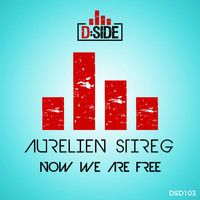 Aurelien Stireg - Now We Are Free