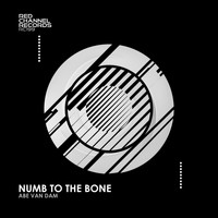 Abe Van Dam - Numb to the Bone