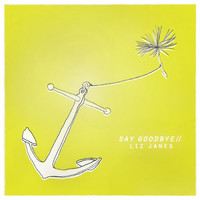 Liz Janes - Say Goodbye