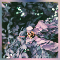 Simone Ahà - Love a La Carte (Radio Edit)