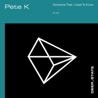 Pete K - Someone That I Used to Know (Radio Edit)