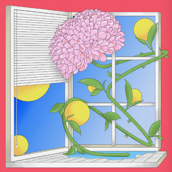 Maroki - Bloem