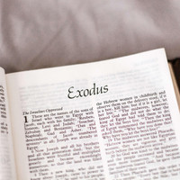 Iba - Exodus