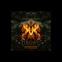 Druiid - Late Night Smoke / Emerald Forest