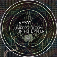 Vesy - Junipers Bloom In Autumn LP