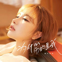 莫叫姐姐 - 为什么伤的是我 (DJ默涵版)