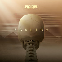 ROI OS - RASLINA