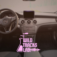 Wildtracks Lab - Driving Soundscapes