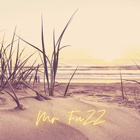 Mr. Fuzz - Shape of Love