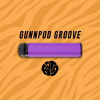 Kota - Gunnpod Groove (Explicit)