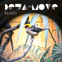 Deja-Move - Bird