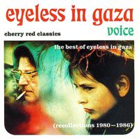 Eyeless In Gaza - Voice - The Best Of Eyeless In Gaza