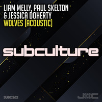 Liam Melly, Paul Skelton & Jessica Doherty - Wolves (Acoustic)