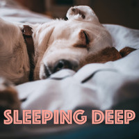 Background Sounds - Sleeping Deep