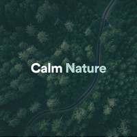Nature Sounds - Calm Nature
