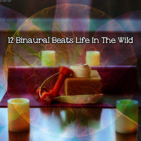 Binaural Beats - 12 Binaural Beats Life In The Wild