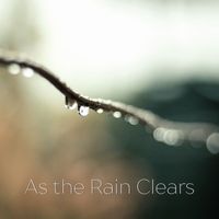 Stefan Truyman - As the Rain Clears