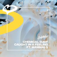 Chemical Surf - Caught In A Feeling (feat. Mammals)