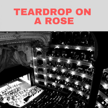 Hank Williams - Teardrop On a Rose