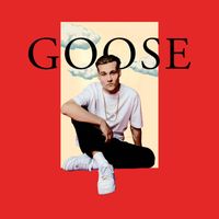 AHTI - Goose