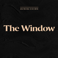 Avishai Cohen - The Window