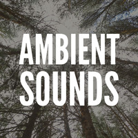 Ambient - Ambient Sounds