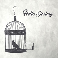 Blind Passenger - Hello Destiny