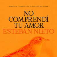 Esteban Nieto - No Comprendí Tu Amor (Jorge Oñate: Un Tributo)
