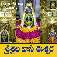 Anil Kumar - Srisaila Vasa Eeswara