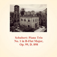David Oistrakh - Schubert: Piano Trio No.1 in B-Flat Major, Op. 99, D. 898