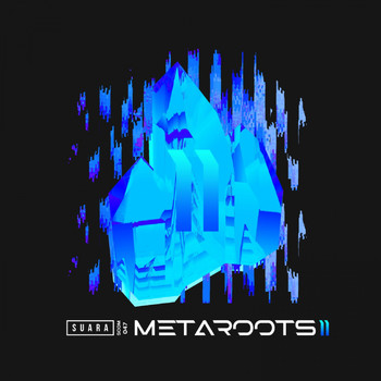 Various Artists - Metaroots 2