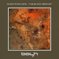 Audio Analysts - The Black Bird - EP