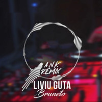 Liviu Guta - Bruneto (A.N.K Remix)