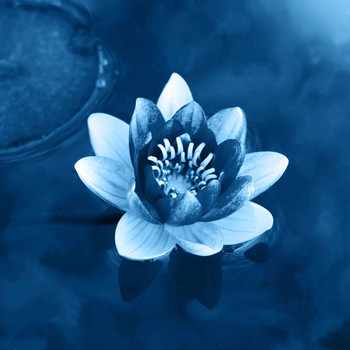 Galena - Third Eye Chakra Focus