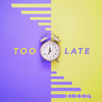 Bleed - Too Late