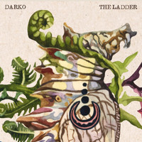 Darko - The Ladder