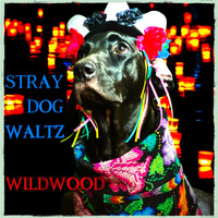 Wildwood - The Stray Dog Waltz