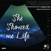 Pimlican - She Showed Me Life