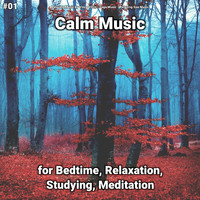 Relaxing Music by Vince Villin & Yoga Music & Relaxing Spa Music - #01 Calm Music for Bedtime, Relaxation, Studying, Meditation