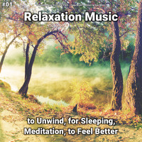 Relaxing Music by Vince Villin & Yoga Music & Relaxing Spa Music - #01 Relaxation Music to Unwind, for Sleeping, Meditation, to Feel Better