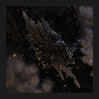Solique - Imminence