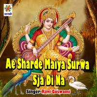 Ravi Goswami - Ae Sharde Maiya Surwa Sja Di Na