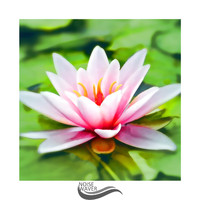 Just Relax Music Universe - Full Brown Noise