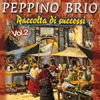 Peppino Brio - Raccolta Di Successi, Vol. 2