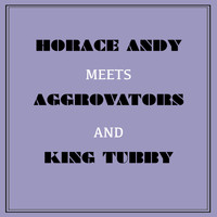 Horace Andy - Horace Andy Meets Aggrovators & King Tubby