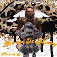 David J - Drop It Baby