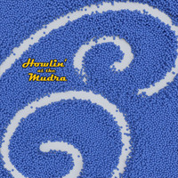 B - Howlin' at the Mudra