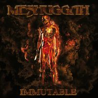 Meshuggah - Light The Shortening Fuse