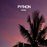 Triton - Python